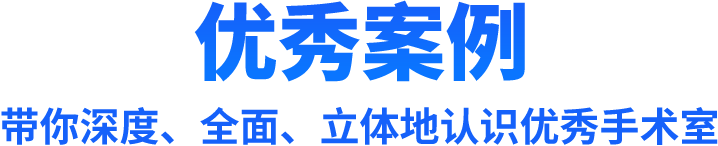 优秀案例